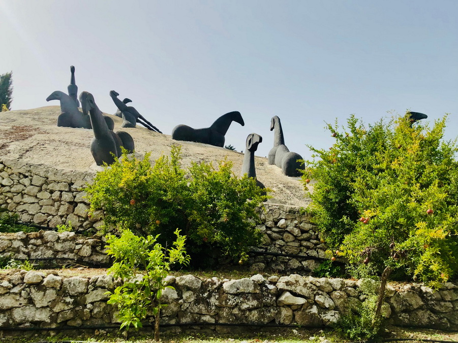 Arte in comune. Visite guidate alla collezione permanente e alla mostra temporanea Images Gibellina